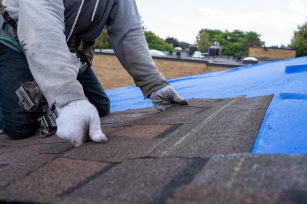 Best Chimney Flashing Repair  in Brookfield, NJ